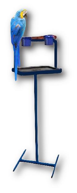 TRAVELER STAND - 10 COLOR CHOICES